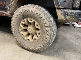 rear wheel.webp
