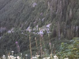 72DABCD5-107B-4855-B78E-9E80219A295F.jpeg