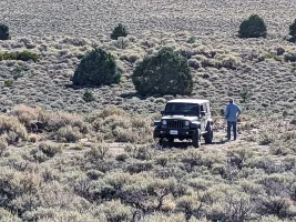 Nevada.webp