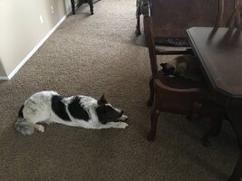 IMG_3408.JPG
