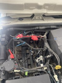 IMG_4727.jpeg