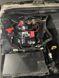 IMG_4728.jpeg