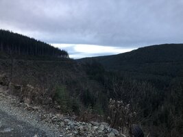 CA752612-D777-4B75-90B0-4A9F1498AE4A.jpeg