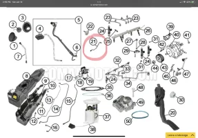 B62636BC-26FE-4AD1-A3B9-76235F52E5A4.webp