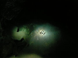 Cenote (18).JPG