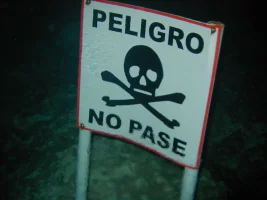 000019.webp