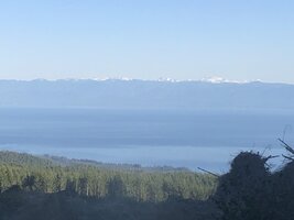 85531349-14EB-48E0-80FD-B4A2426F6E24.jpeg