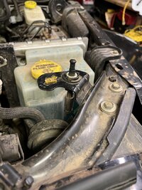 IMG_4813.jpeg