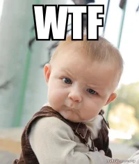 wtf-5c1822.webp