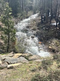 IMG_2542.jpeg