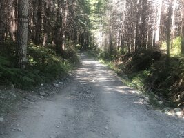 90D2FFD8-6D73-405A-A149-C3255FF77F5B.jpeg