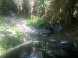 9F74D9D3-F719-4096-A4BA-CCF007F7089F.jpeg