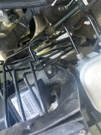 IMG_2483.jpg