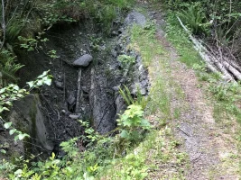B9C39166-8568-4D94-8A72-67B5804819E7.webp