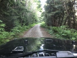 E3404CDA-6499-4884-9F0D-216EE20BBC64.jpeg