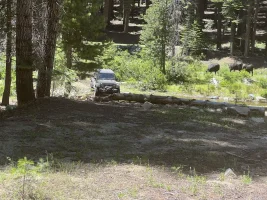 IMG_4990.webp