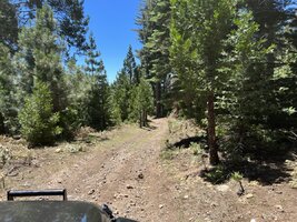 IMG_4984.jpeg