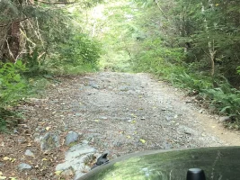 34016859-3728-4A4C-B6F4-5A59E7515E63.webp