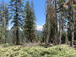 IMG_0092.jpeg