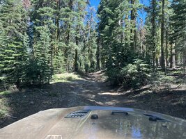 IMG_5001.jpeg