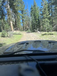 IMG_4999.jpeg