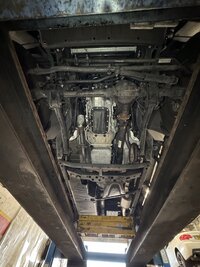 IMG_0388.jpeg