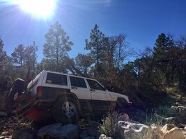 IMG_8772.jpeg