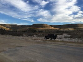 IMG_8779.jpeg