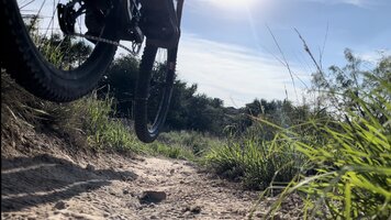 IMG_8706.jpeg