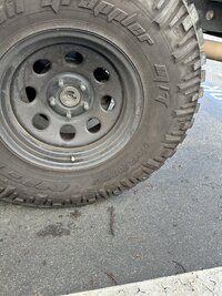 IMG_6393.jpeg