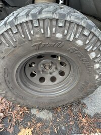 IMG_6394.jpeg
