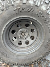IMG_6395.jpeg