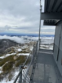 IMG_9006.jpeg