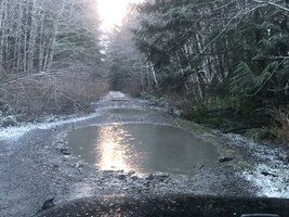 IMG_8234.jpeg
