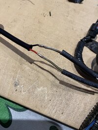 IMG_5432.jpeg