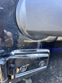 IMG_3399.JPG