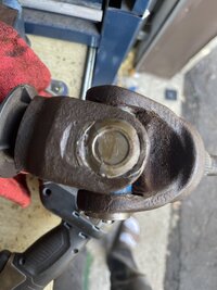 IMG_0358.jpeg