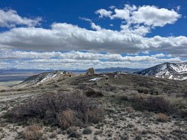 IMG_1330.jpg