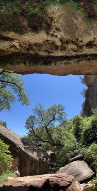 IMG_2858.jpeg