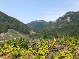 IMG_8382.jpeg