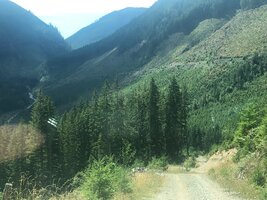 IMG_8465.jpeg