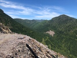 IMG_8517.jpeg