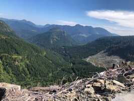 IMG_8511.jpeg