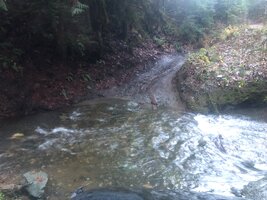 IMG_8726.jpeg