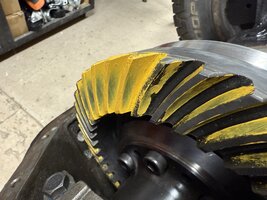 IMG_3012.jpeg
