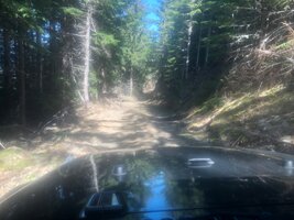 IMG_8976.jpeg