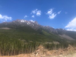 IMG_8963.jpeg