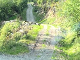 IMG_9032.jpeg