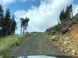 IMG_9006.jpeg