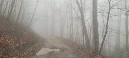 20241126_093543.jpg